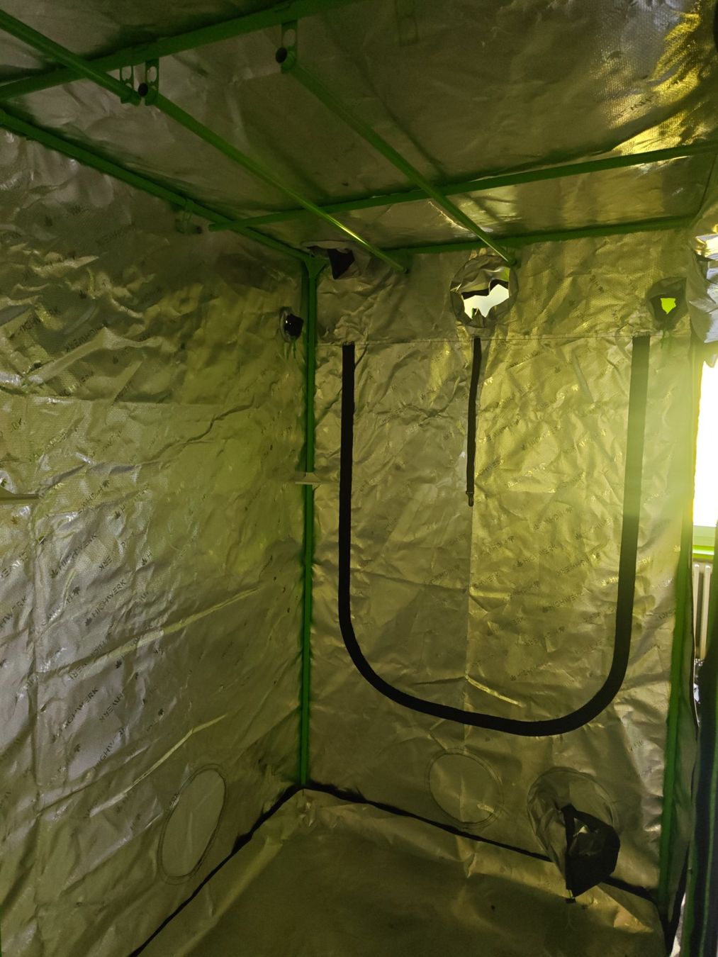 Growbox Altro: 240x 120 Growzelt – Nuovo (secondo la descrizione) da Reigoldswil venduto da Artos20 2