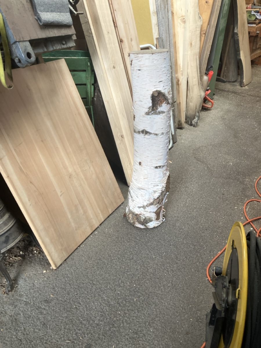 Articoli in legno: Birkenstamm – Nuovo (secondo la descrizione) da Burg AG venduto da ala_cx8x 2
