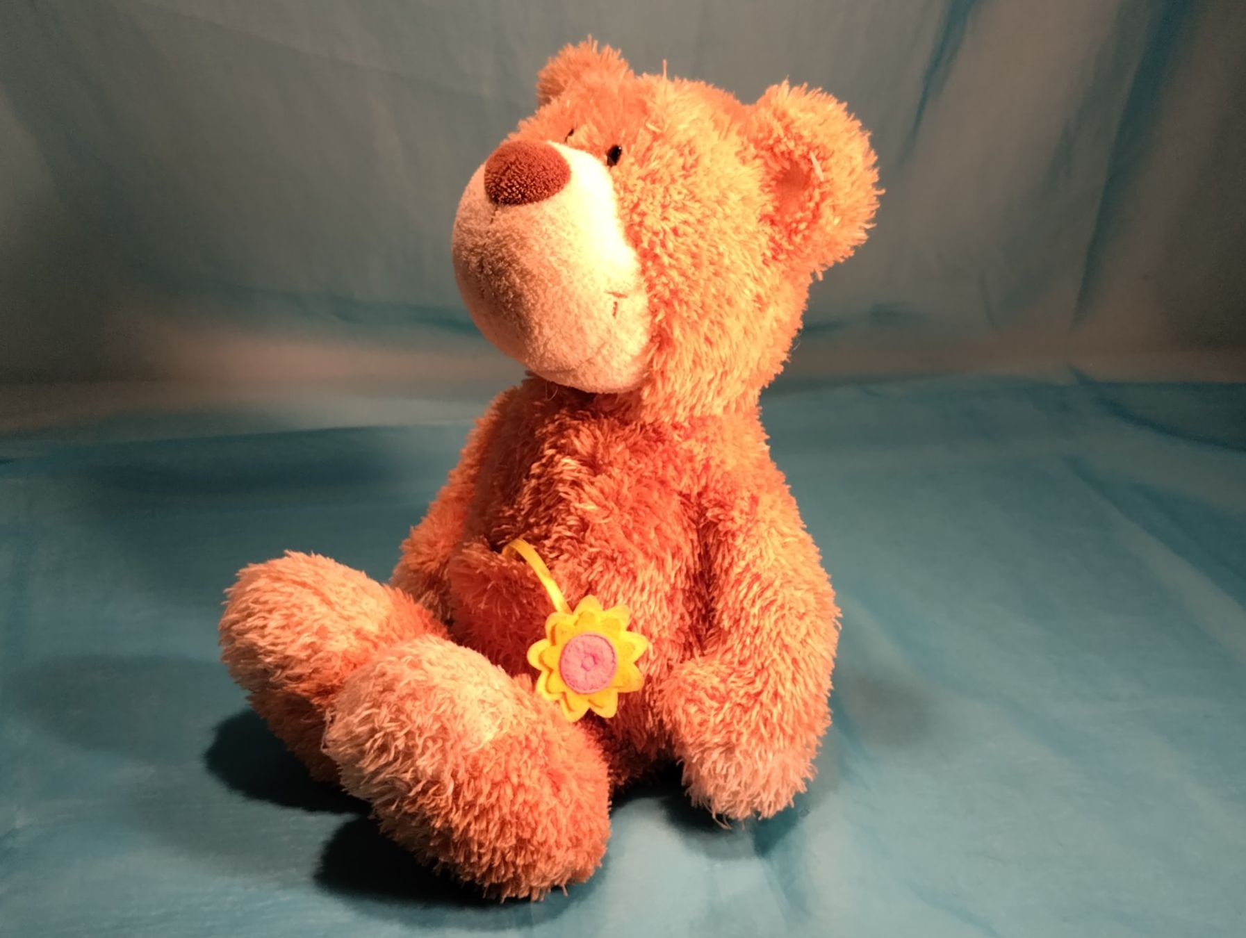 Nici Spielzeuge: NICI Bär mit Blume im Sack, L: 40cm – Gebraucht aus Bellach von JingleCherry 3