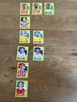 Panini 2026