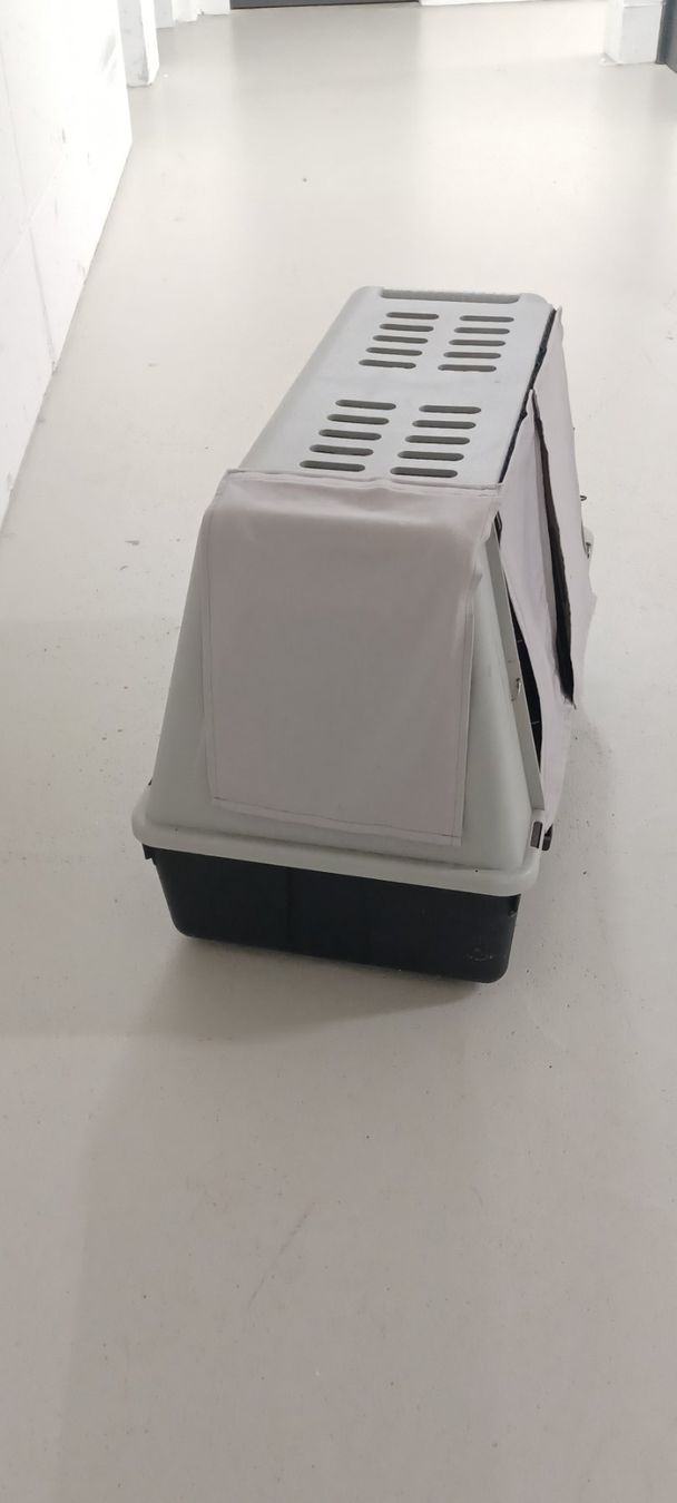 Gabbie, trasporto & Sicurezza: Gut erhaltene Transportbox für Hunde oder Katzen. – Usato da Luzern venduto da spyro-gyra 5