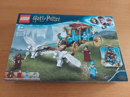 LEGO Harry Potter Kutsche 75958 Beauxbatons Hagrid