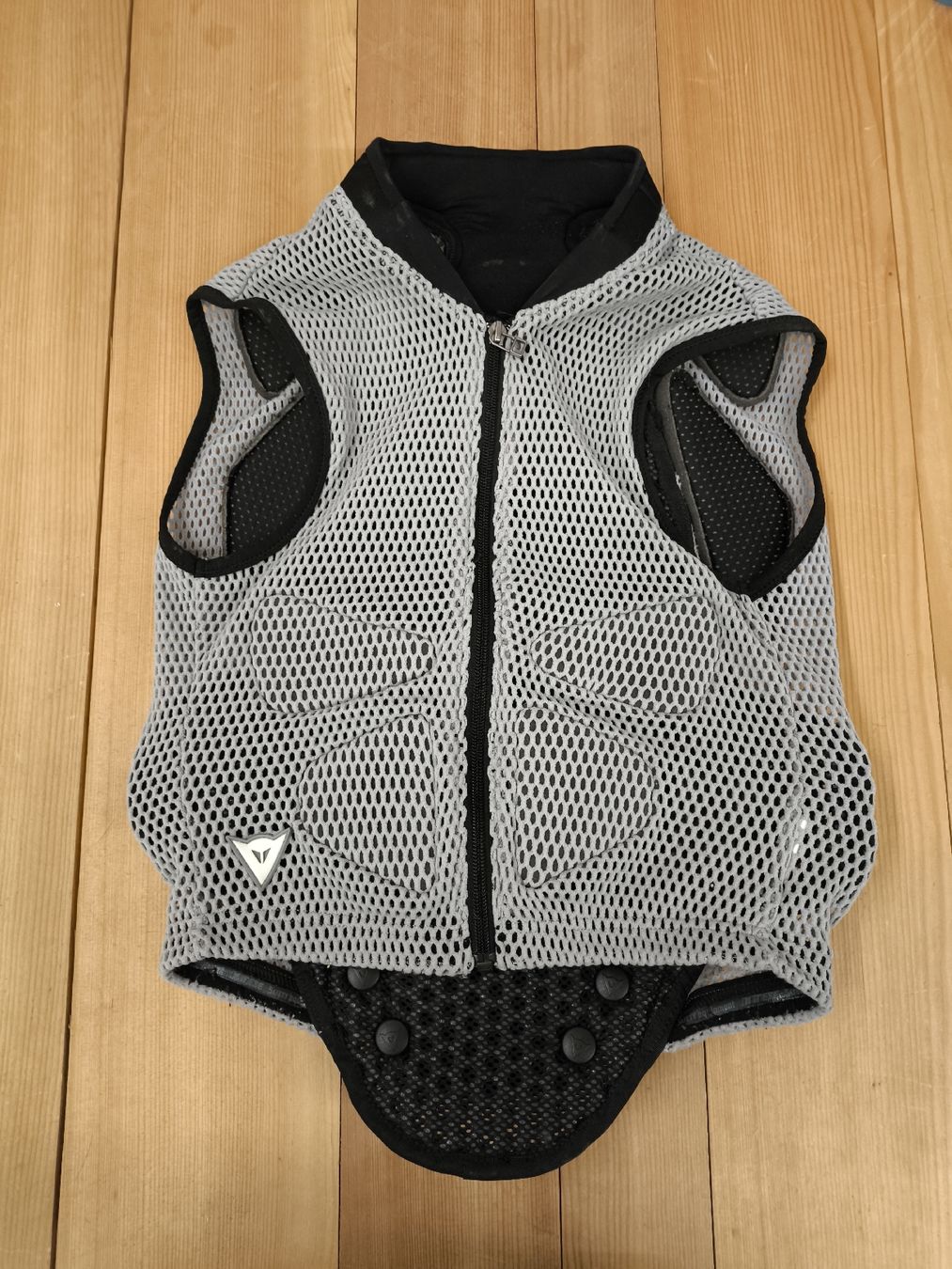 Dainese Protezioni & Imbottiture: Rückenpanzer Dainese Gr. S – Usato da Scuol venduto da Pisoc2019 1