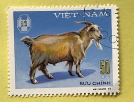Briefmarken aus Vietnam gestempelt  Siehe Original Fotos.