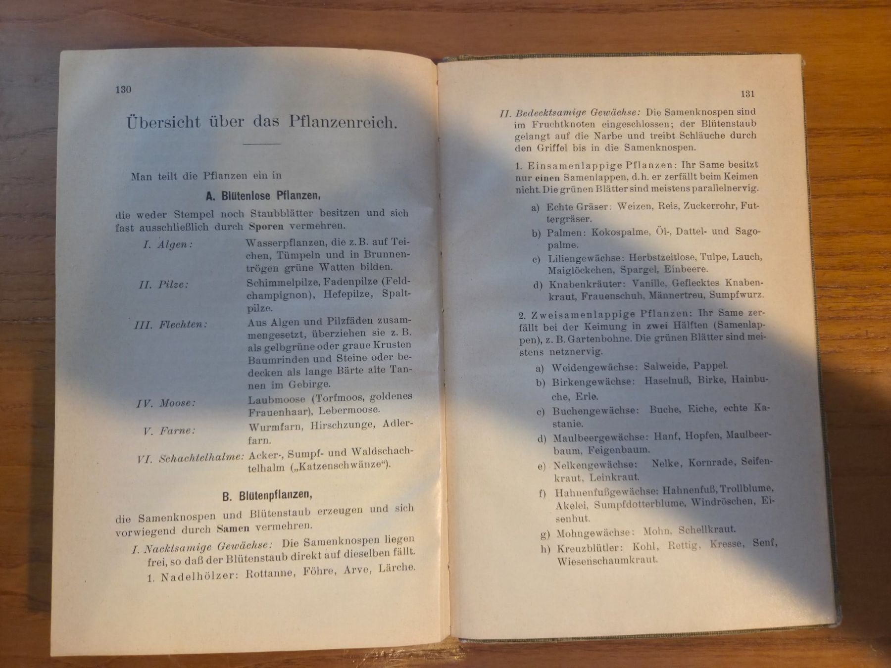 Libri: Meierhofer: Leitfaden der Naturkunde – Botanik, Zürich 1918 – Usato da Aldesago venduto da lusuardi 8