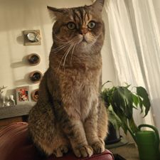Profile image of FatMar2004