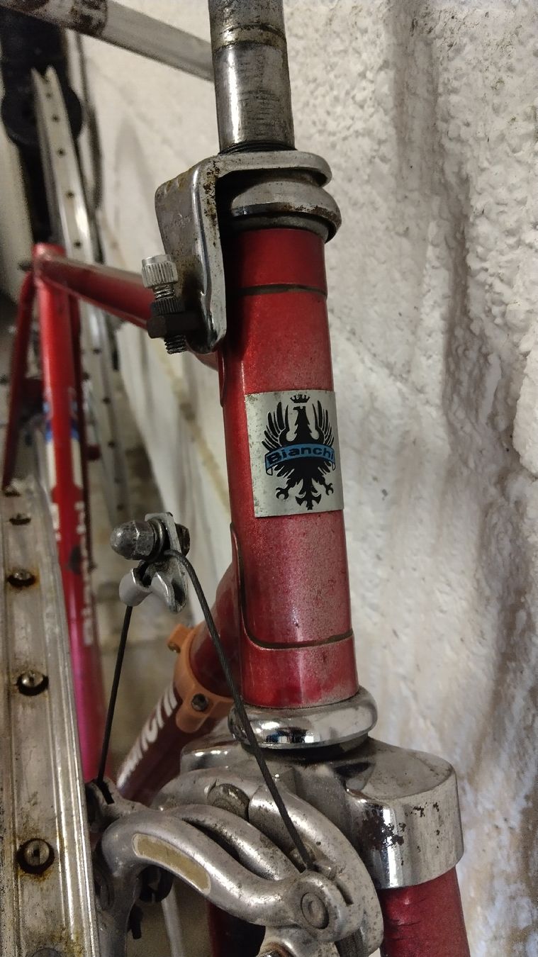 Pièces détachées: Fahrrad Teile + Bianchi Rahmen – D'occasion à Zürich par GuillaumeLux 3