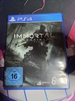 Soulslike PS4 Game Immortal Unchained - Gut erhalten