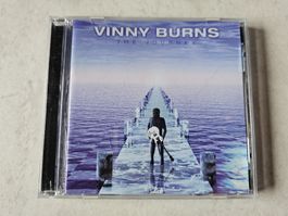 Vinny Burns  -  The Journey