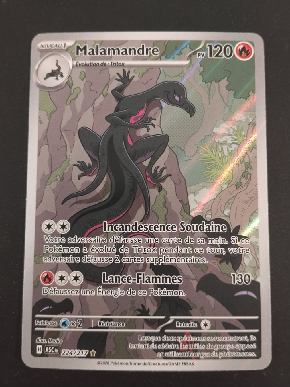 Pokémon Carte collezionabili: Pokémon Héros Transcendants: Malamandre 224/217 FR – Usato da Palézieux-Village venduto da oufoux08