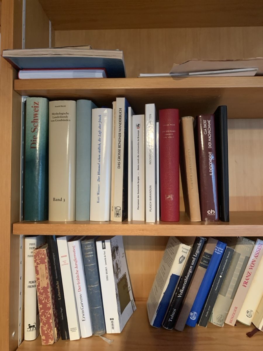 Libri: Lot Bücher mit Gestell – Usato da Murgenthal venduto da Padoni60 1