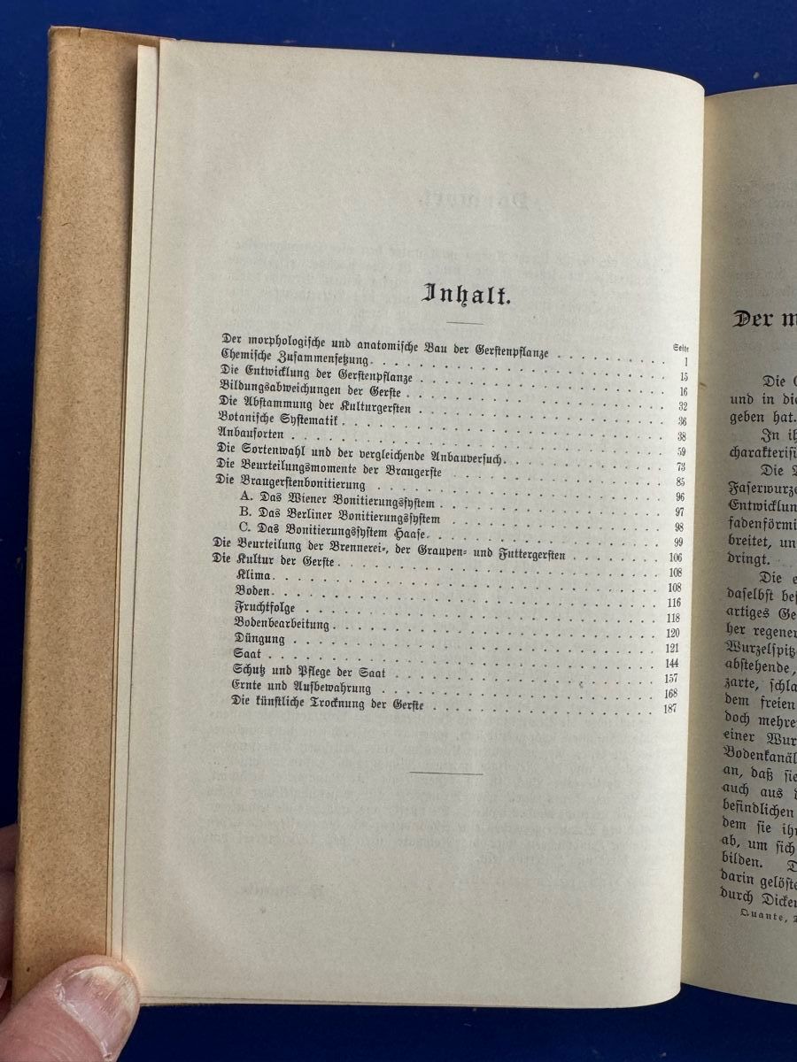 Libri: Die Gerste, botanische u. brautechnische Eigenschaften 1913 – Usato da Adliswil venduto da buch_und_kunst 2