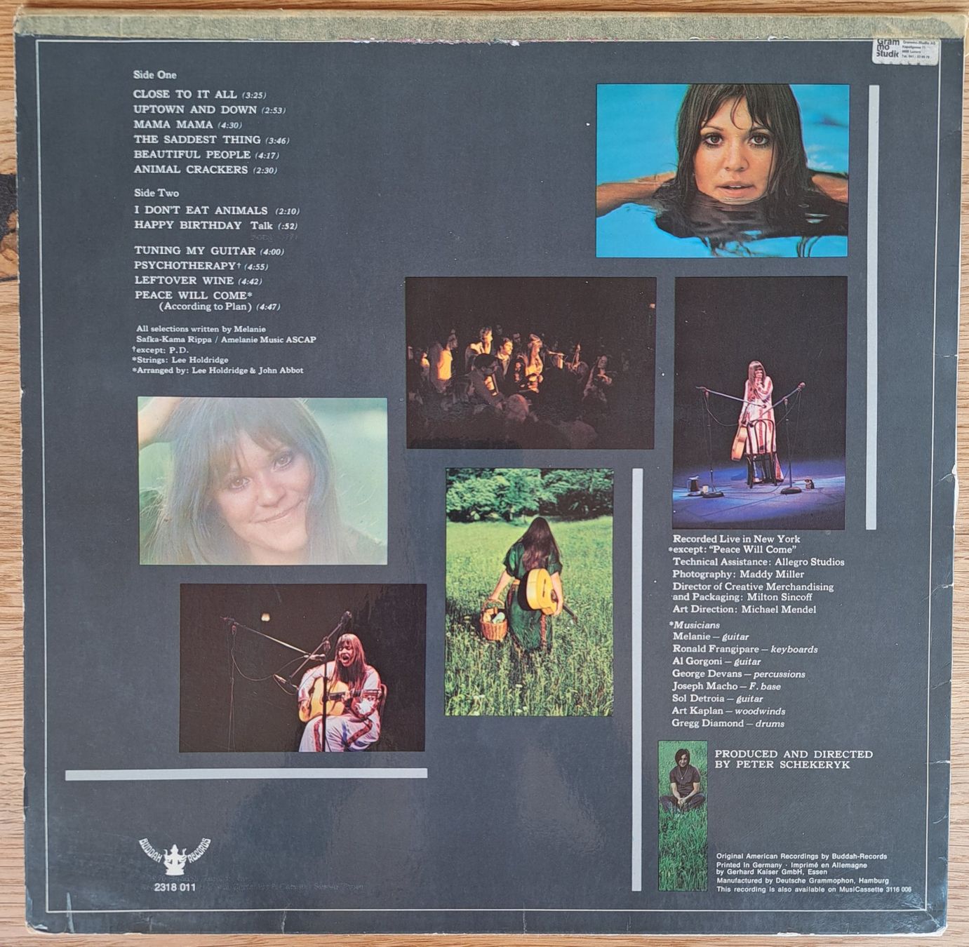 Dischi in vinile: Melanie -Live at Carnegie Hall – Usato da Meggen venduto da Ricardokoch 1