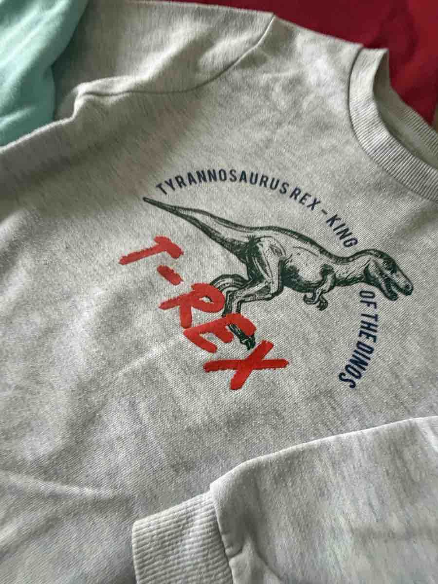 Lotti & Set di vestiti: 3 Pulls pour garçon taille 98 en coton – Usato da La Chaux-de-Fonds venduto da Sabinchenn 4