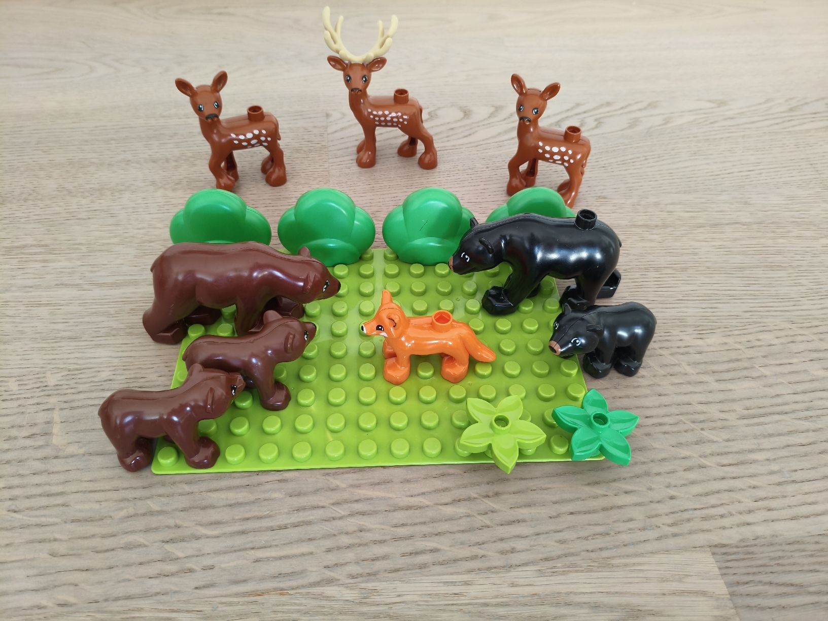 Lego Spielzeuge: Duplo Waldtiere – Gebraucht aus Rotkreuz von bau_n6m6