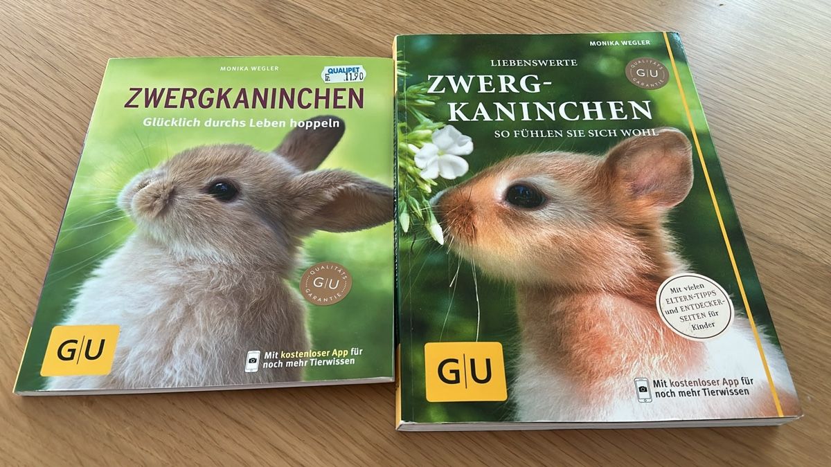 Libri: Zwergkaninchen Bücher – Usato da Bilten venduto da MB_8865