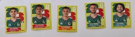 Panini WM 2026 Sticker Mexiko  Stk. 0.20 CHF