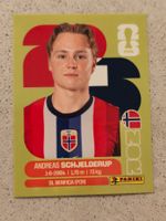 Panini Sticker WM 2026: Andreas Schjelderup NOR 12