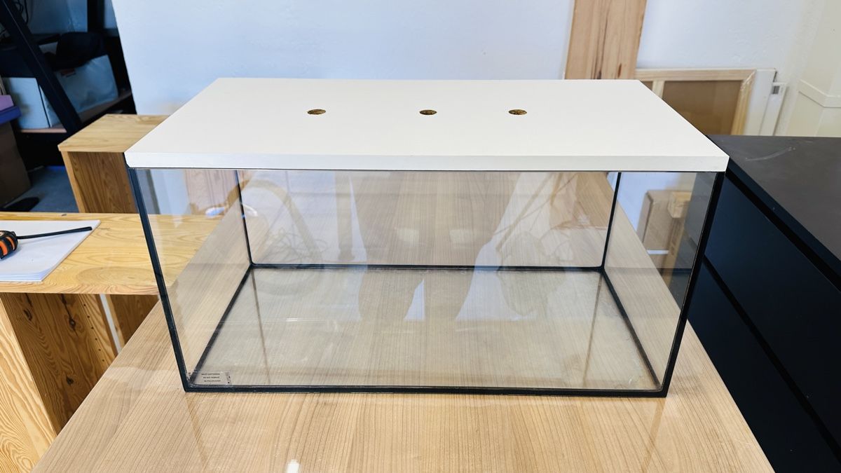 Terrario: Terrarium – Usato da Orpund venduto da Catangle