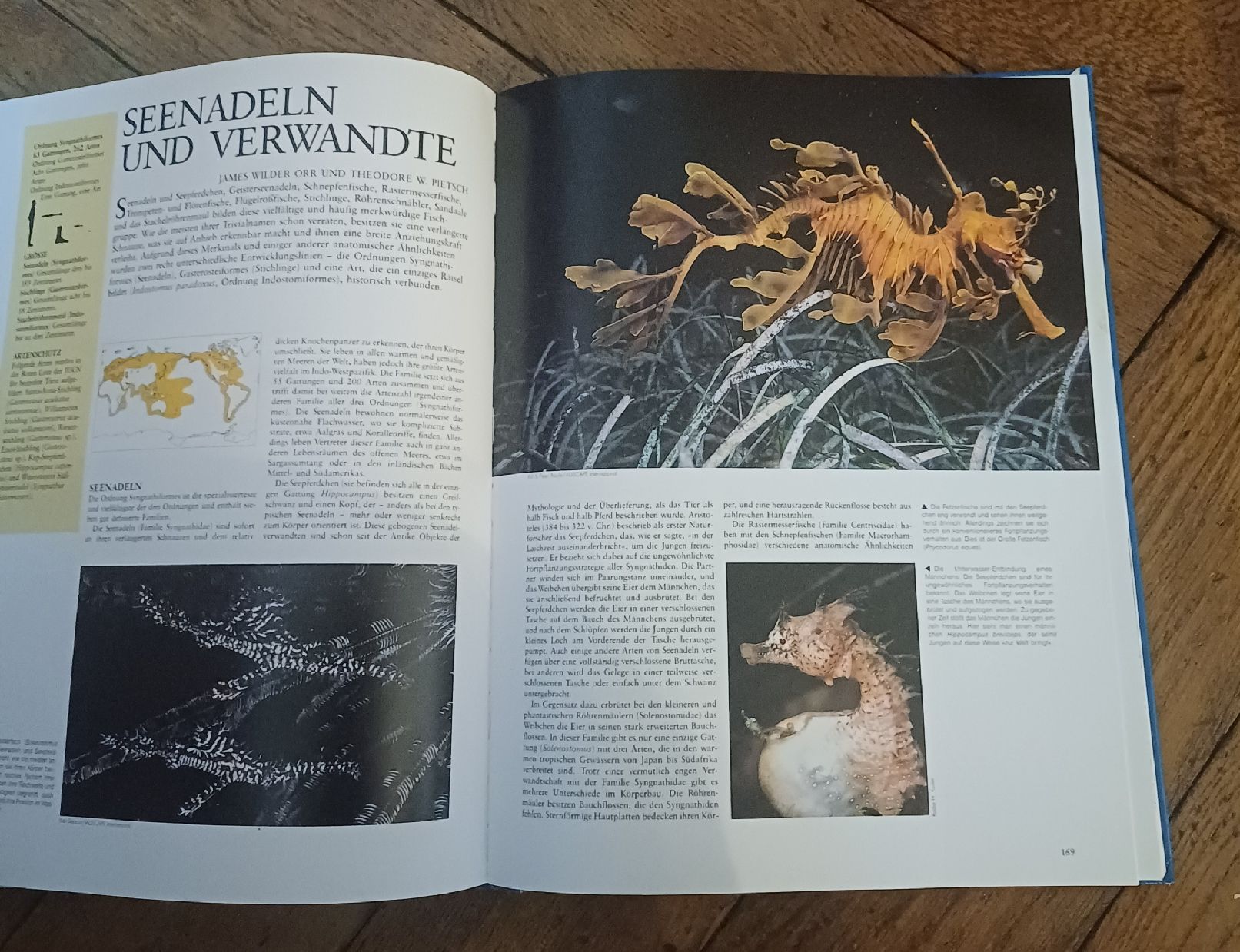 Libri: Fische Enzyklopädie – Usato da Schönenwerd venduto da pomodor 4