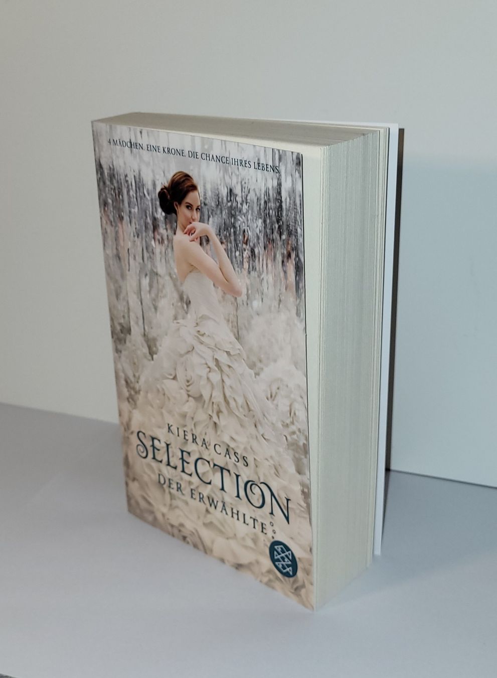 Bücher: Selection - Der Erwälte  – Gebraucht aus Uzwil von jae_8khn 1
