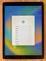 Ipad Pro 12.9 Zoll