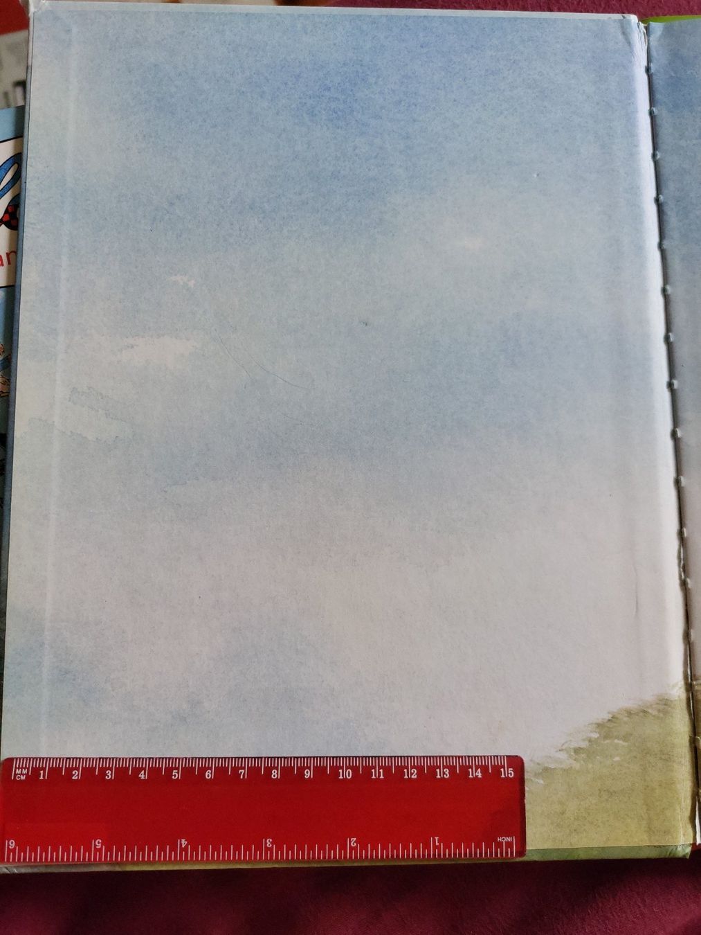 Bücher: Heidi Buch – Gebraucht aus Unterseen von Ruia3333 1