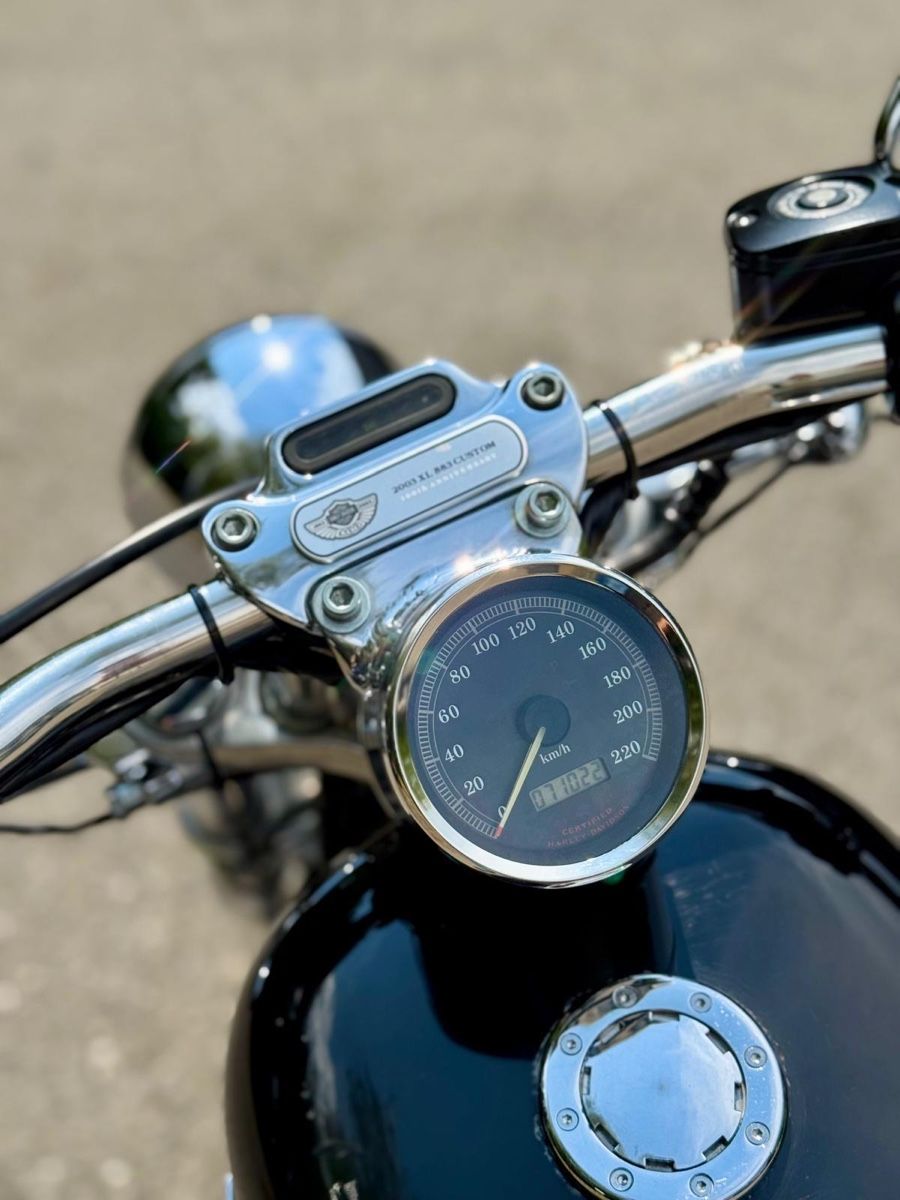 Altro: Harley Davidson XL 883 / 100 Anniversary Modell – Usato da Rheinfelden venduto da one7one9 2