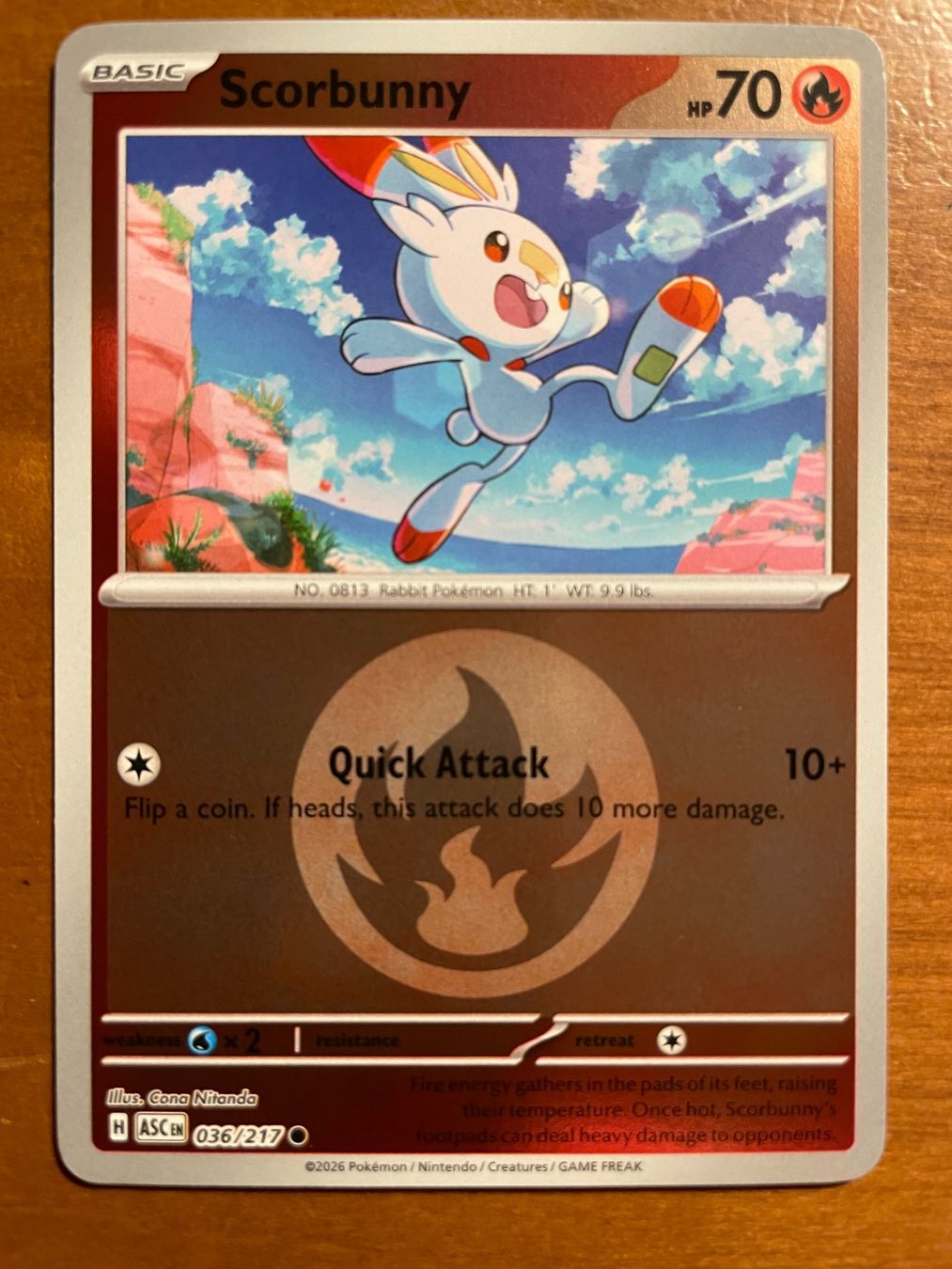 Pokémon Carte collezionabili: Pokemon Scorbunny Reverse (Versand gratis) – Nuovo (secondo la descrizione) da Chur venduto da Angerson