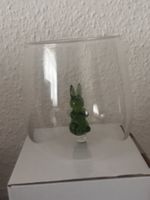 Süsses Osterhasen Glas -für den Frühling! Neu! (O:Nr.2)