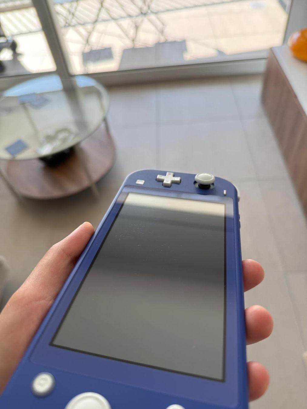 Nintendo Consoles: Nintendo Switch Lite - Blau – D'occasion à Kölliken par TheCrib 5