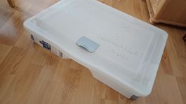 Rotho Unterbettbox Cargo 60l mit Rädern