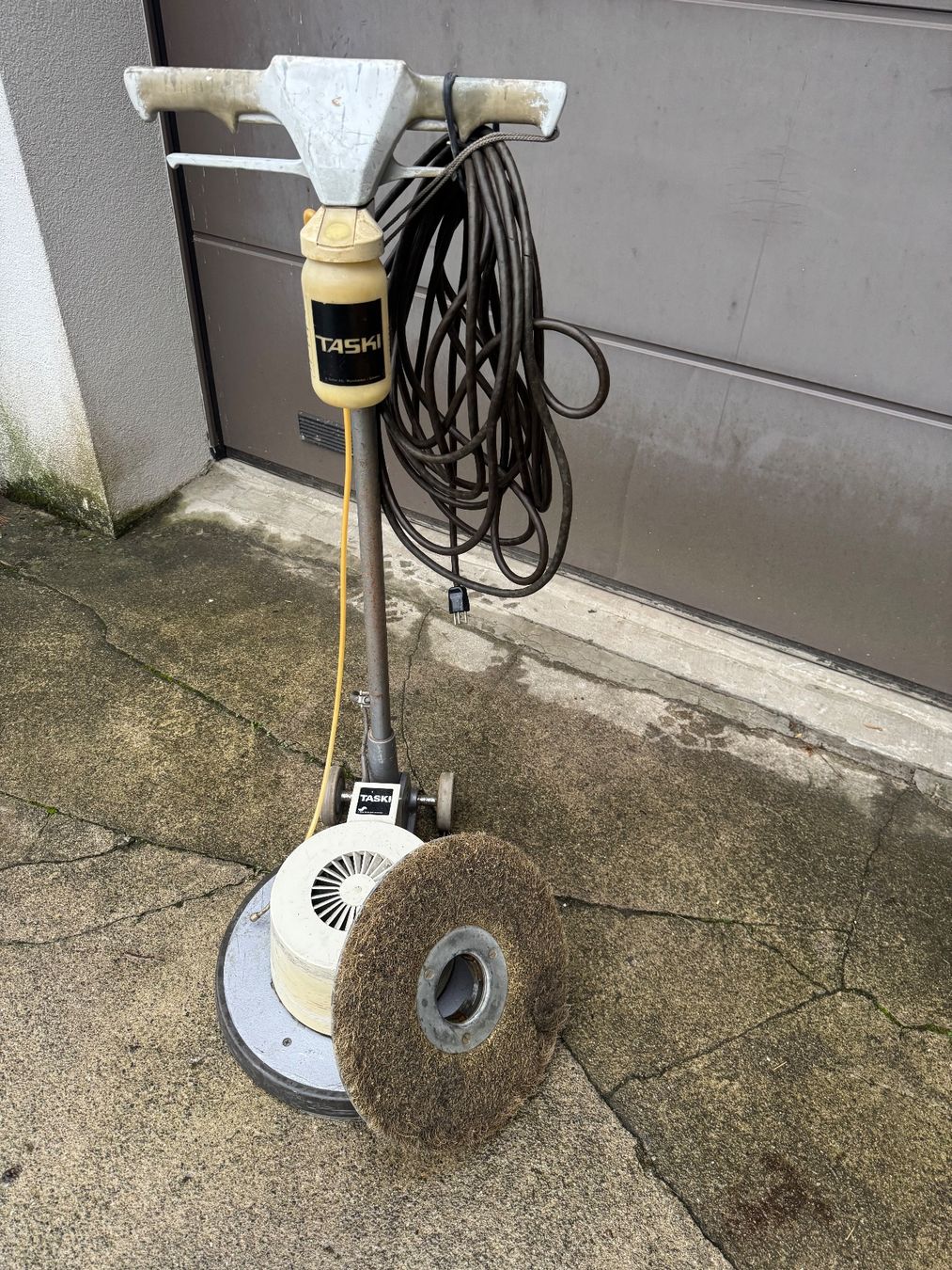 Tutte le macchine: Taski Einscheibmaschine (taski Wetrok cleanfix) – Usato da Brugg venduto da Vwtiguan1- 1