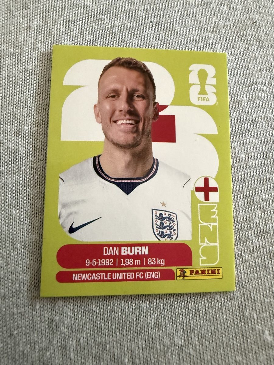 Panini Carte collezionabili: ENG8, Dan Burn, Panini  – Nuovo (secondo la descrizione) da Amriswil venduto da ALETAL