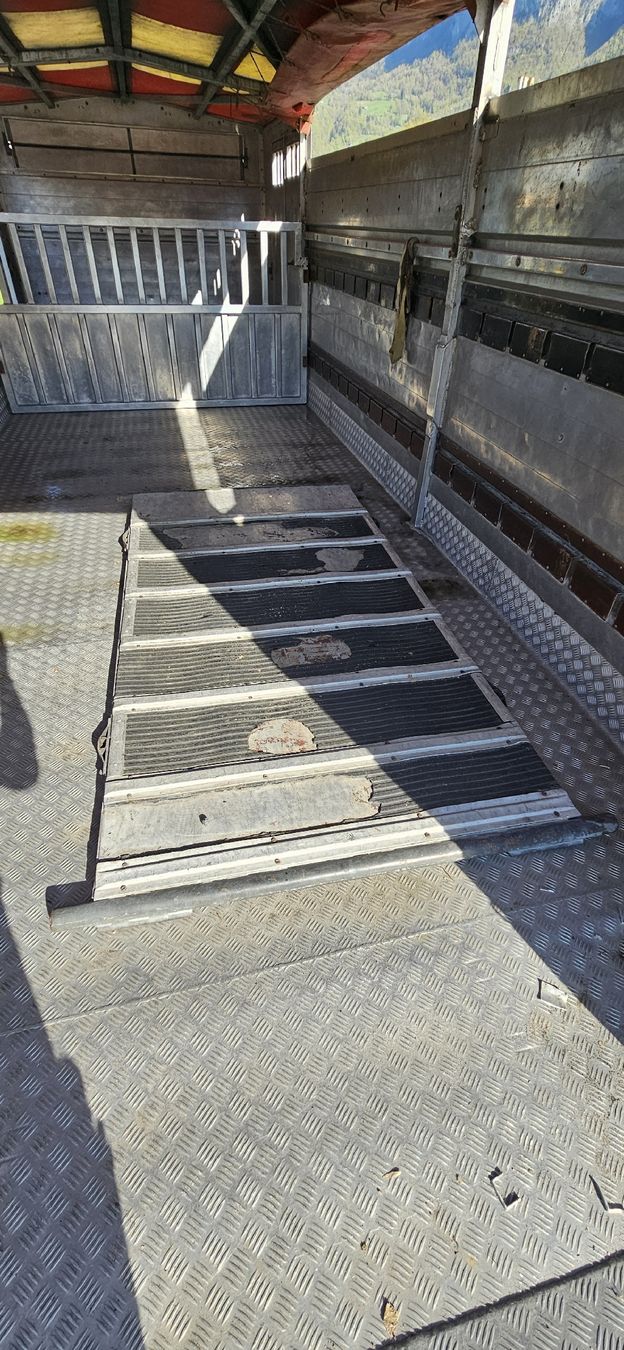 Contenitori edile: Viehaufbau 16.4m² – Usato da Flums venduto da Frosch850 7