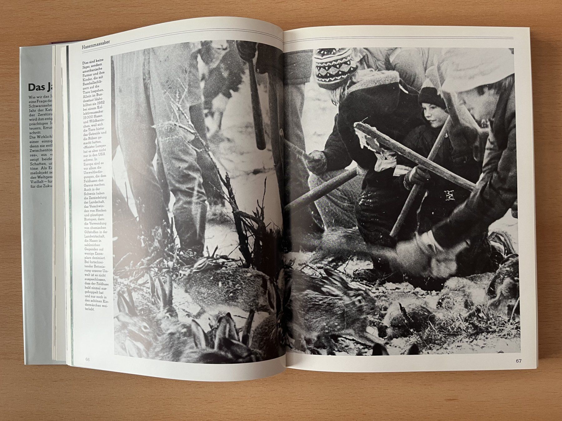 Libri: Buch des Jahres 1982 - Schweizer Illustrierte – Nuovo (secondo la descrizione) da Lausen venduto da Mondeo10628 5