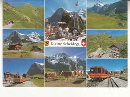 Kleine Scheidegg 1995