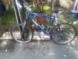 Cilo Fahrrad 