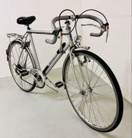 Sultana Halbrenner / City Bike / Silber Pfeil