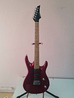 Elektrische Gitarre Samick 