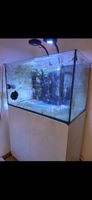 Meerwasseraquarium mit komplettem Zubehör