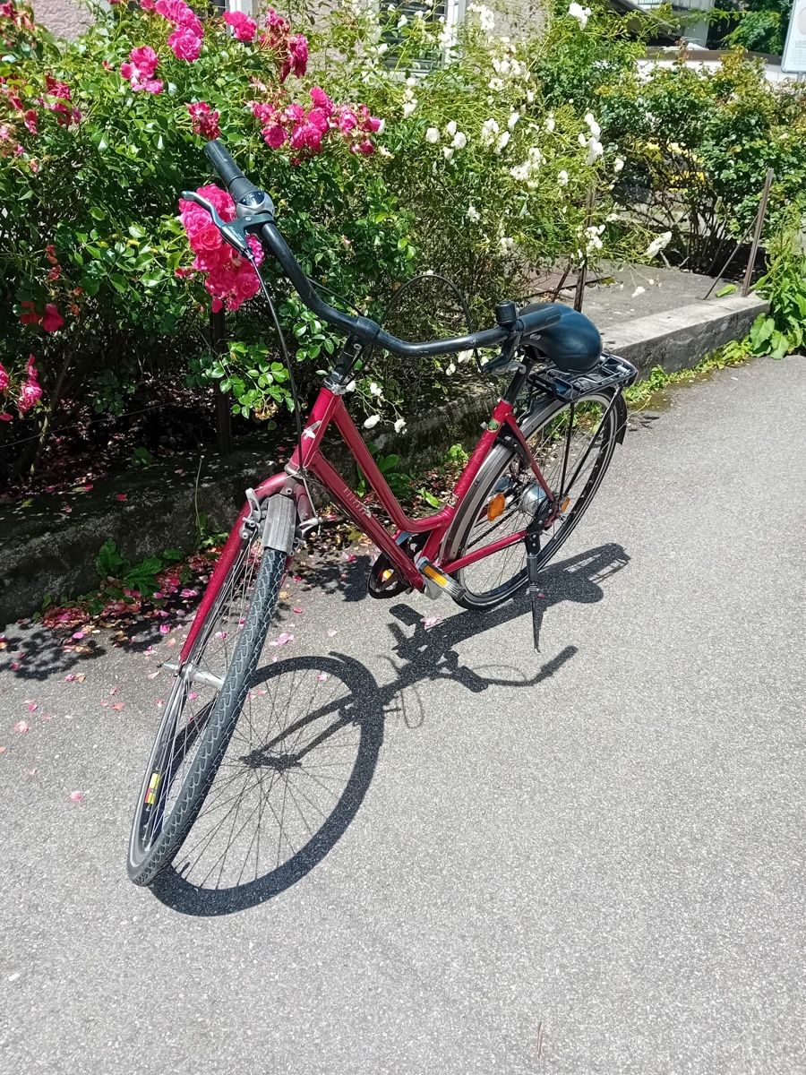 Vélos: Velo – Défectueux à Chur par jk.84