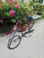Velo