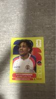 HAI 4 , FIFA WORLD CUP 2026 PANINI 