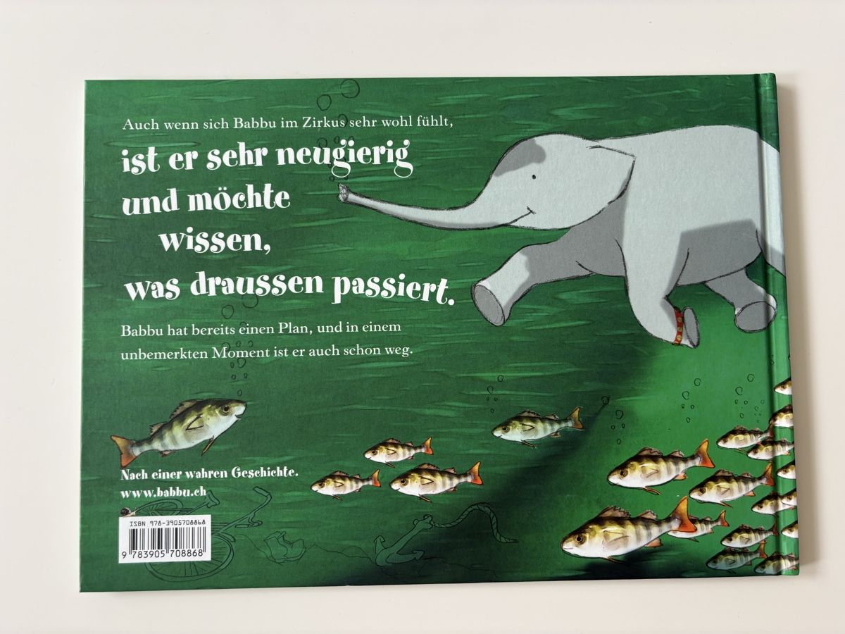 Libri: Babbu Der Kleine Ausreisser – Nuovo (secondo la descrizione) da Zürich venduto da lindae 1