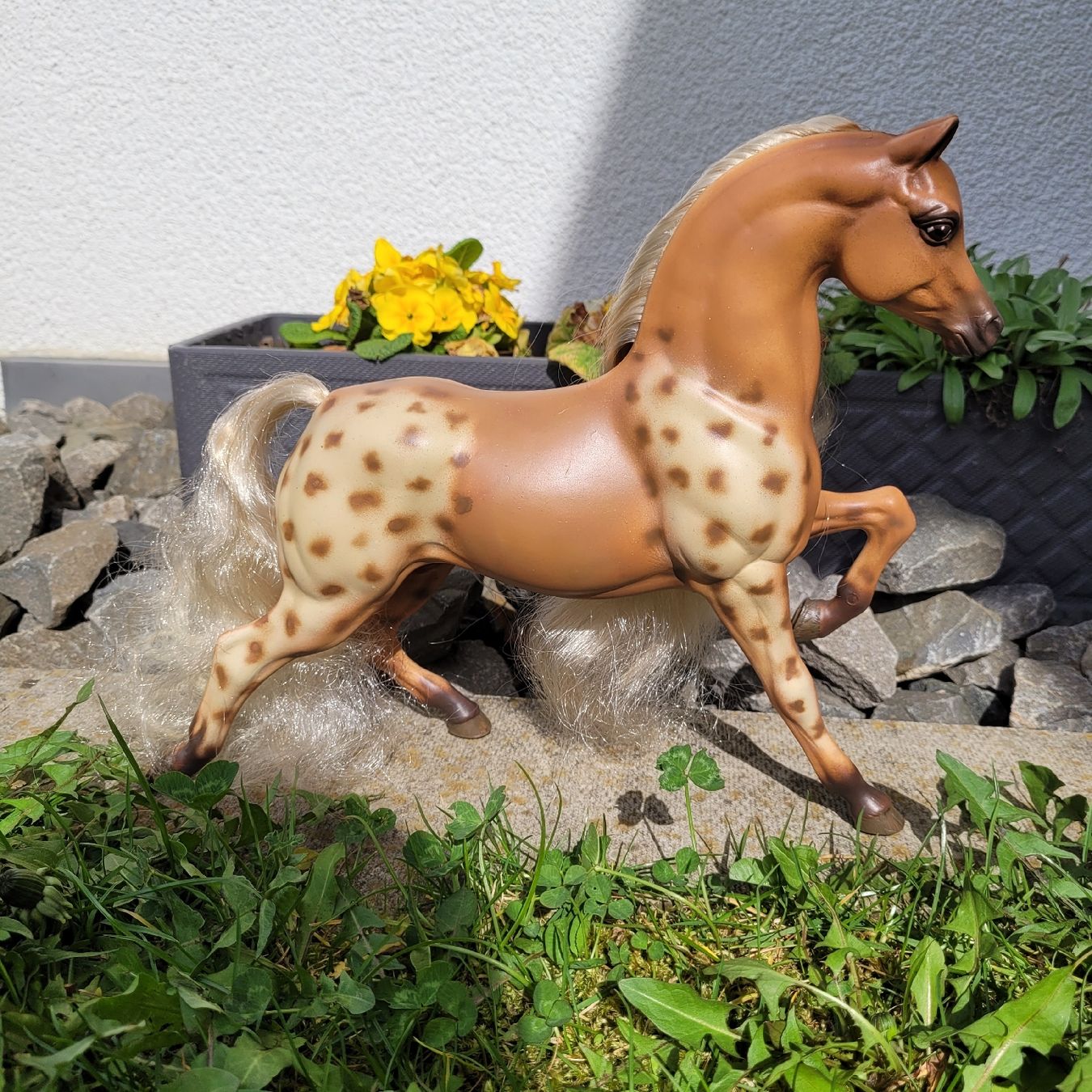 Giocattoli: Barbie Pferd Hengst Aslan Repaint Unikat – Usato da Niederbuchsiten venduto da klengyel 5