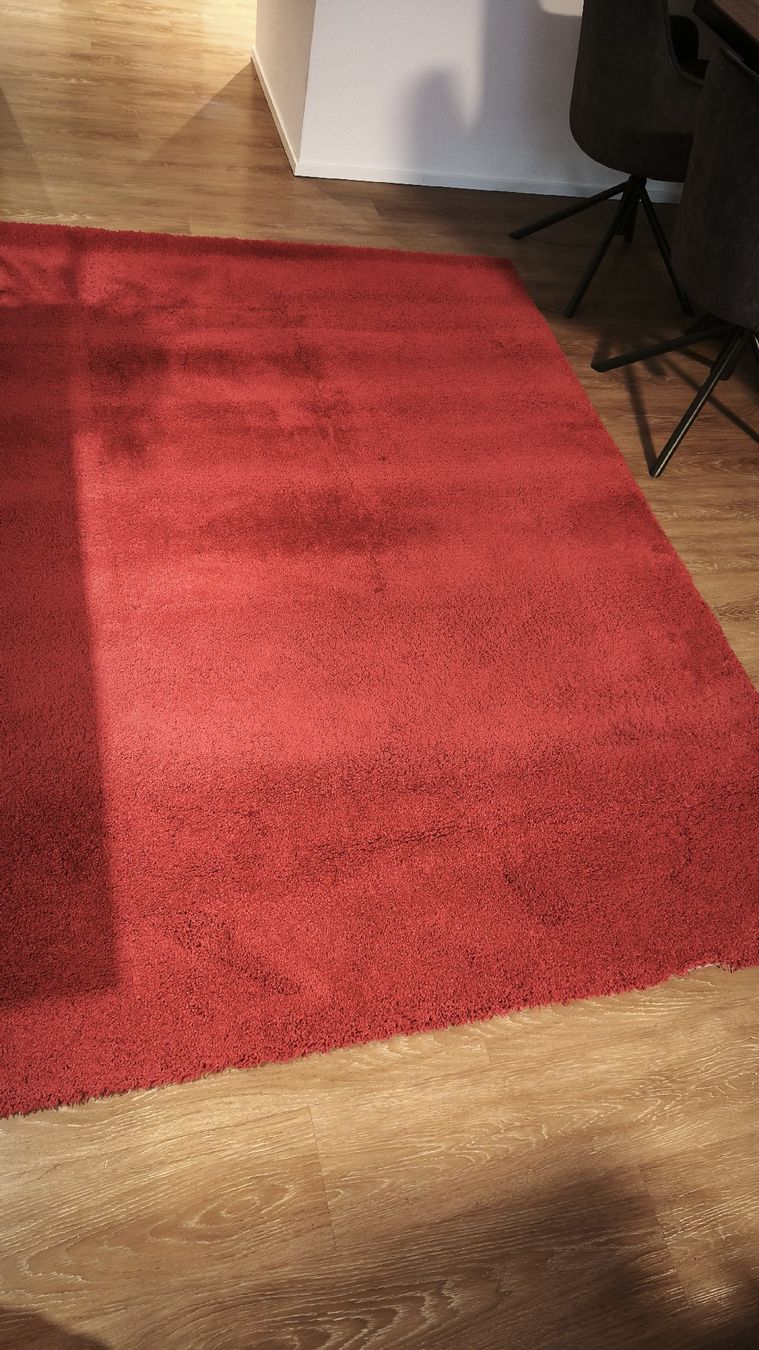 Livique Tappeti: Teppich Delight Cosy Polypropylen Rot Höhe 22mm – Usato da Eschlikon TG venduto da matktm86 1
