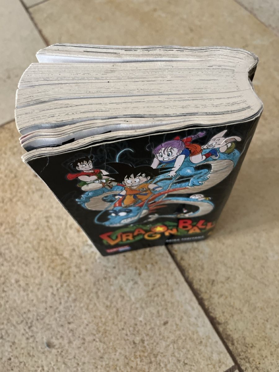 Comics: Dragonball Massiv Band 1-14 – Gebraucht aus Liestal von Tumbat 1
