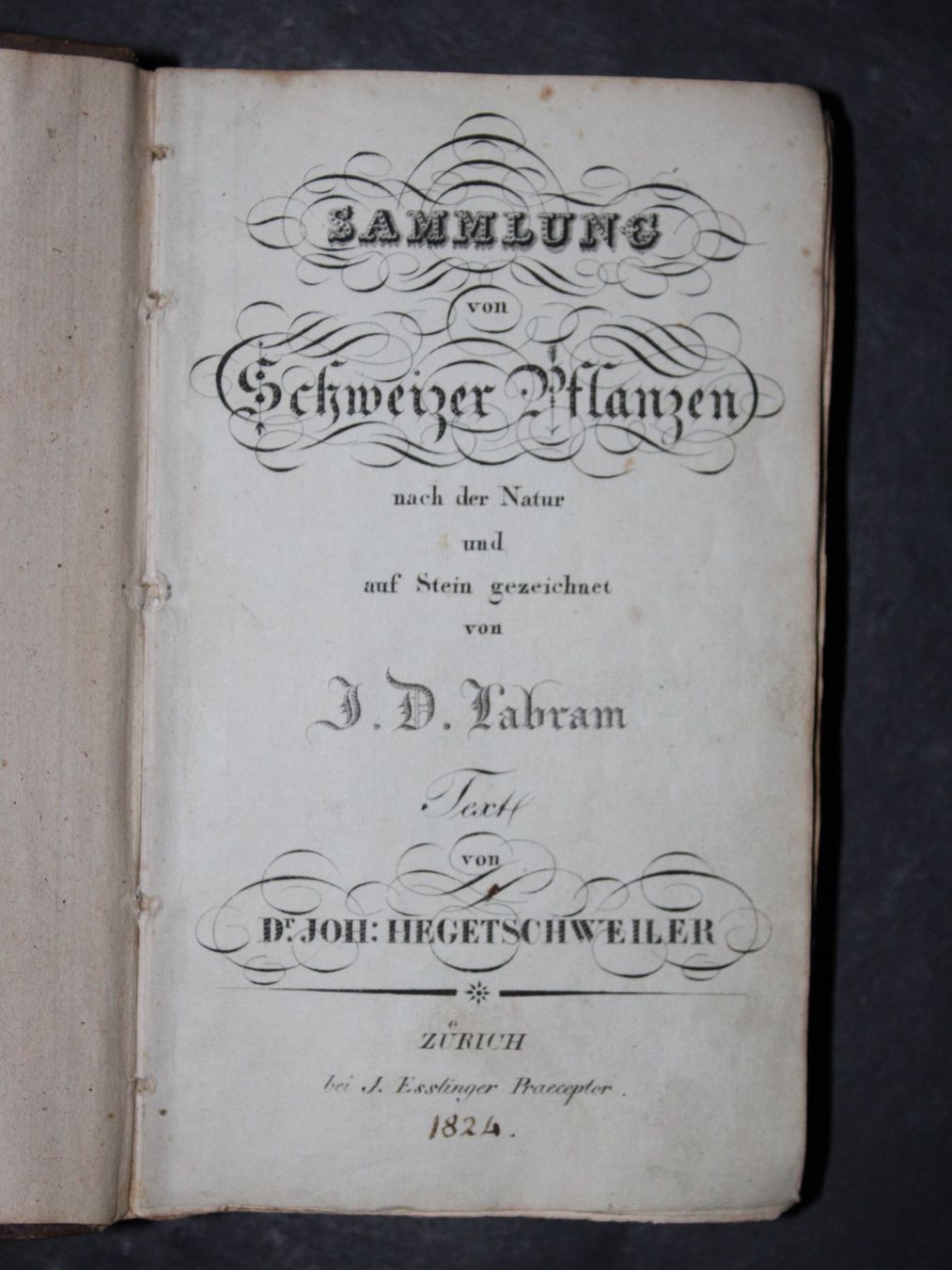 Libri: HEGETSCHWEILER,SAMMLUNG VON SCHWEIZER PFLANZEN,480 TAFELN – Usato da Guensberg venduto da Herzaktion 1