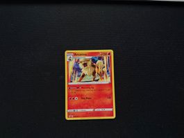 Arcanine 028/192